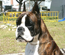 Oliver-Jones von Bispus